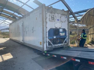 Used 40ft Refrigerated Shipping Container – With Custom Side Door Access - Image 5