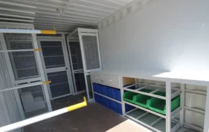 Workshops - Image 6